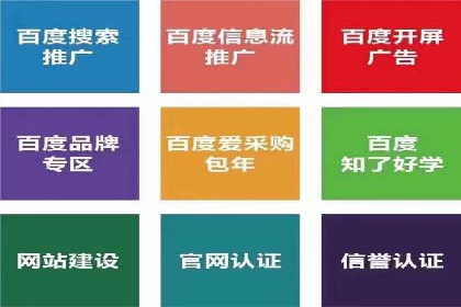 某知名品牌网络推广竞价全解析